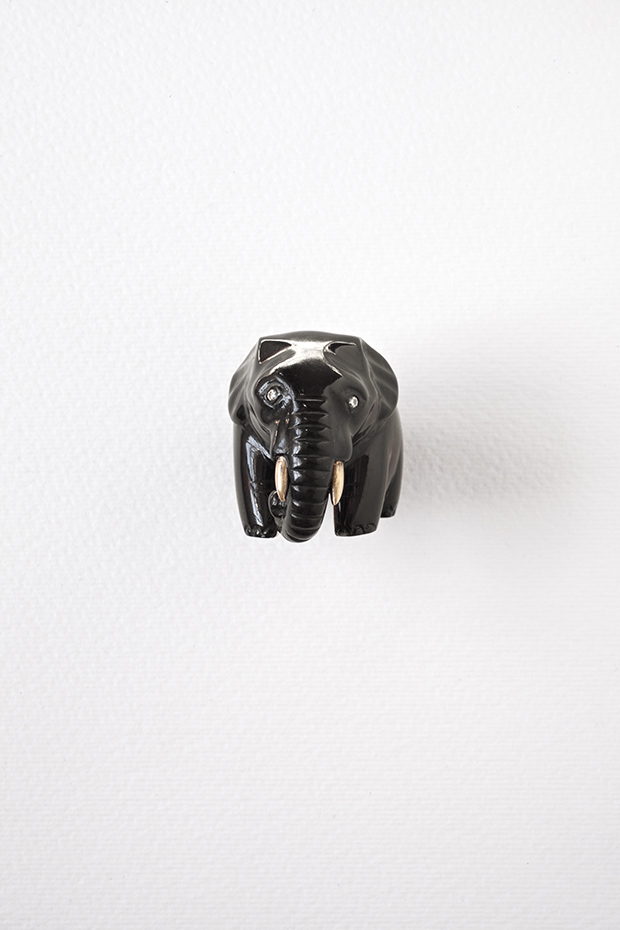 Elephas maximusasian elephant