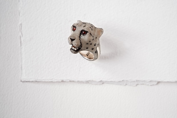 Acinonyx JubatusCheetah II