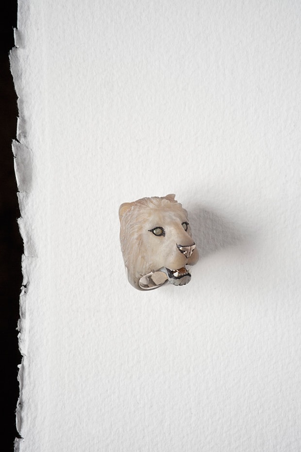 Panthera Leo KugeriWhite Lion